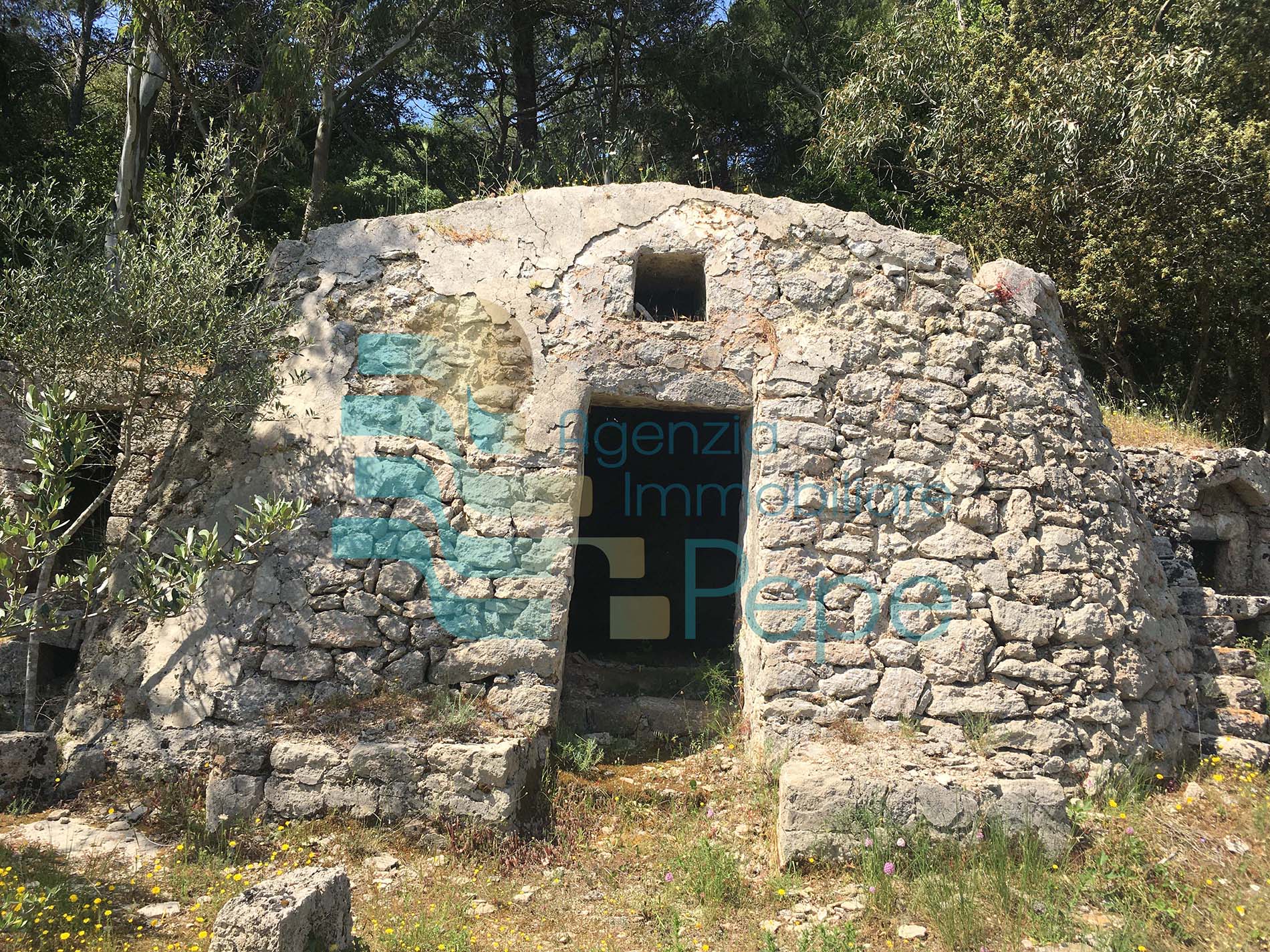 Terreno agricolo con Pajara