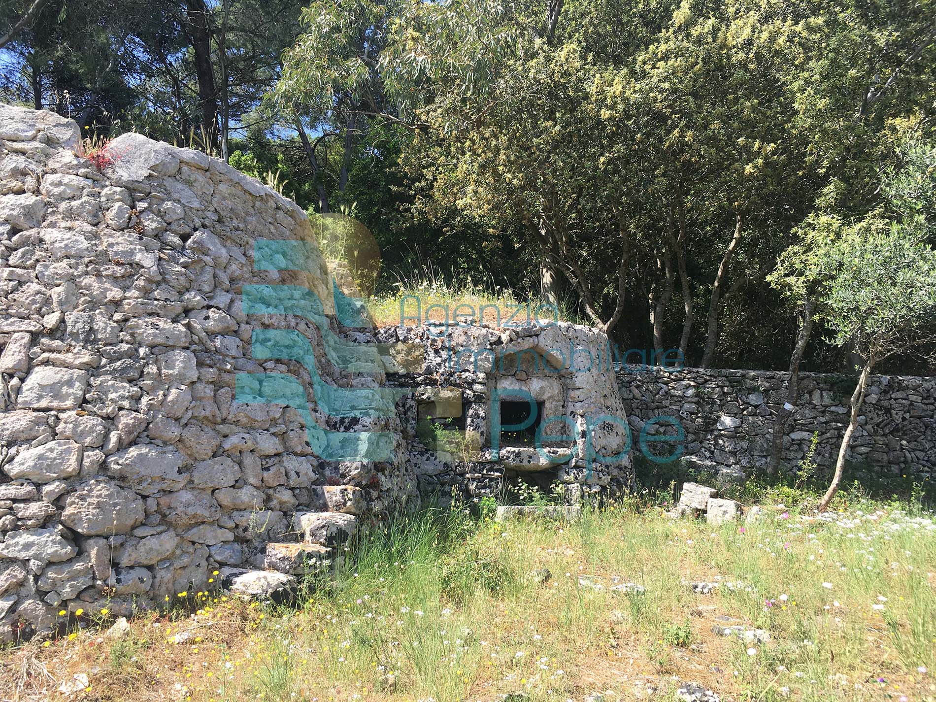 Terreno agricolo con Pajara
