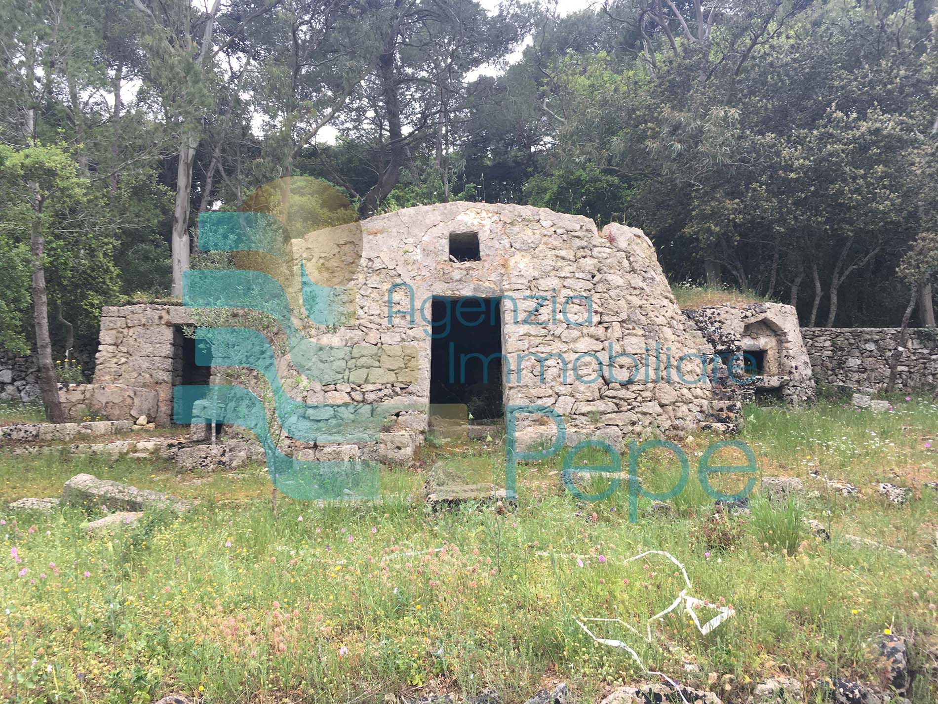 Terreno agricolo con Pajara