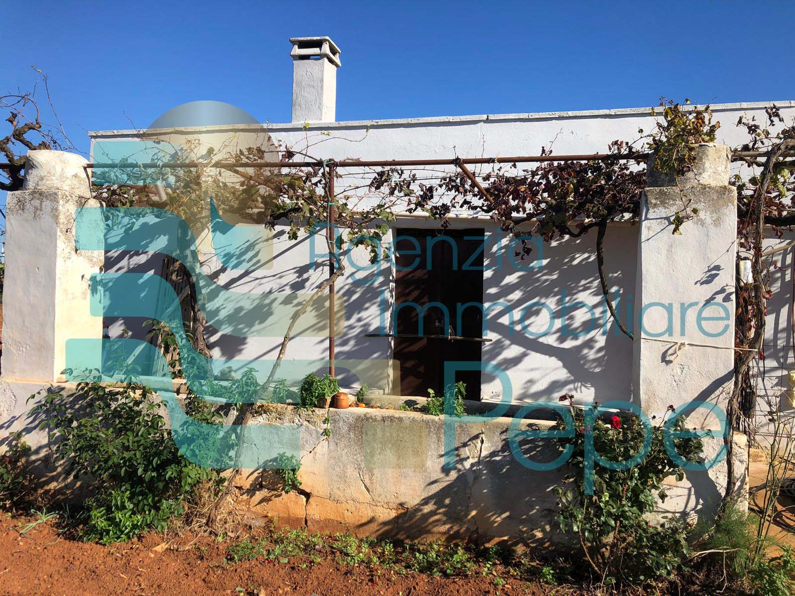 Terreno agricolo con deposito