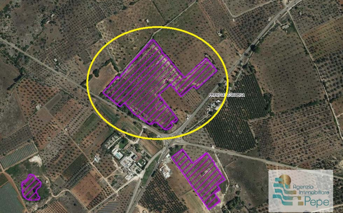 Terreno agricolo "ex cava"