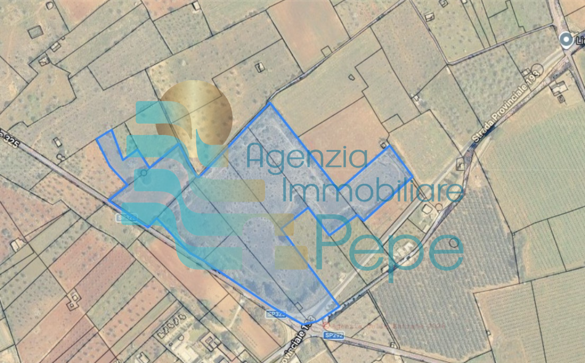 Terreno agricolo "ex cava"