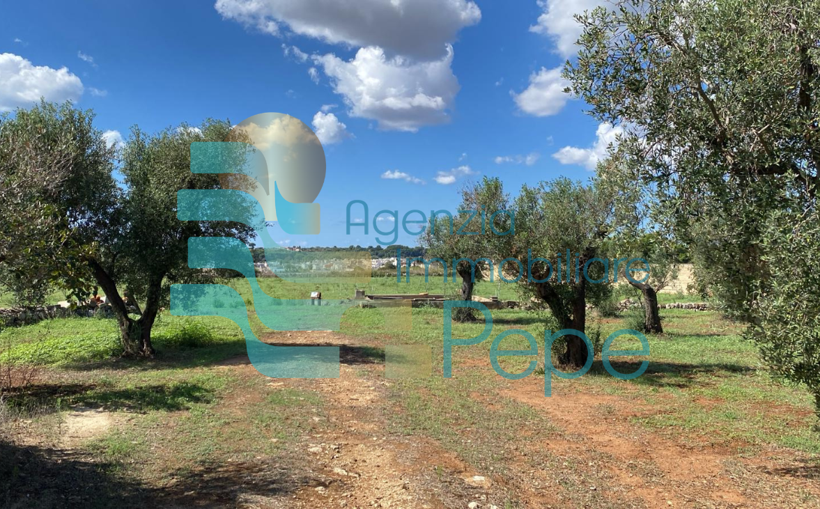 Terreno Agricolo